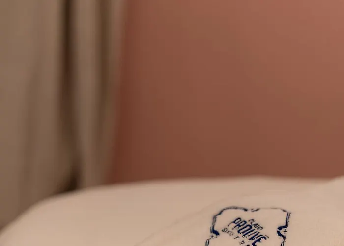 31bis - Cinq D'architecte, Entre Heritage Et Design - Sauna - Centre Διαμέρισμα Νανσύ